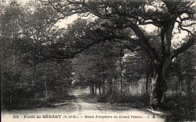 Floresta de SÉNART (S.-et-O.) — Estrada Florestal do Grand Veneur — C.M. — n°216