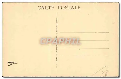 Ajaccio — Fontana Monumentale dei Quattro Leoni e Statua del Primo Console — Cartolina d'epoca n°205t — Verso