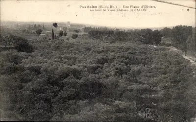Próximo a Salon (B.-du-Rh.) — Uma Planície de Oliveiras, no fundo o Velho Castelo de SALON