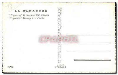 La Camargue — "Engasado" (oversteek) van een moerassige plek — Éditions de Lavelle & Cie — Achterkant