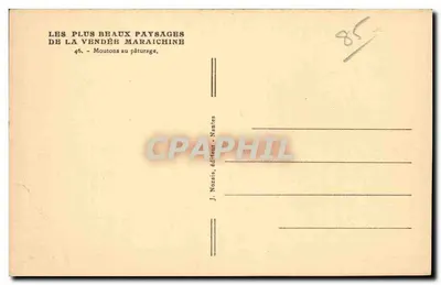 Ovelhas no pasto — Os mais belos paisagens da Vendée Maraichine — J. Nozais, editor, Nantes — Verso