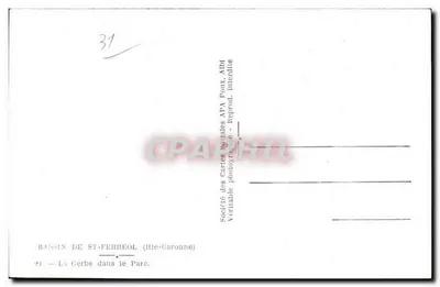 Bassin de St-Ferriol — La Gerbe w Parku — Towarzystwo Kartek Pocztowych APA Poux — Rewers