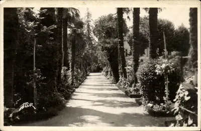 Avenida de Palmeiros no Jardim Público — Bergerac — Edição Marcelau Carrière, n°2147