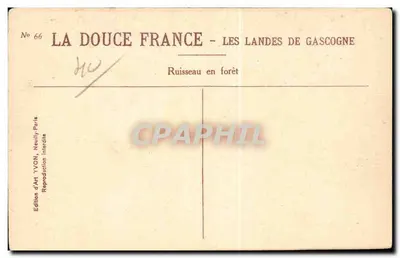 Strumień w lesie — Les Landes de Gascogne — Wydawnictwo Art YVON — Rewers