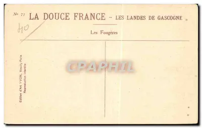Les Fougères — Les Landes de Gascogne — Edição de Arte YVON, Neuilly-Paris — Verso