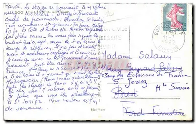 Caçador de madeira — Floresta — Cap, editor — Verso