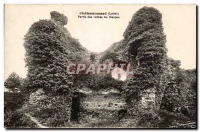 Châteaurenard (Loiret) — Parte das ruínas do Donjon — editor não identificado