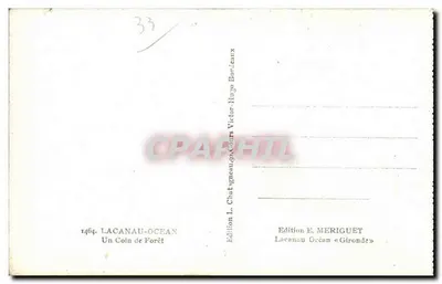 लाकानौ-ओसियन — एक जंगल का कोना — एडिशन ई. मेरिगूएट — पीछे