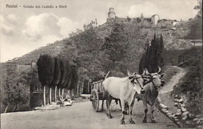 Assisi - Kuzeyden Kalesi Görünümü — Rossi Ulisse Yayımcılığı, No 13713