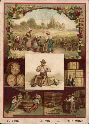 Die Weinlese und der Weinbau — Meneur Lina