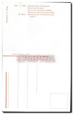 Dançarina amarrando seu calçado — Editor J. Lapina, Paris — n° 1199 — Verso