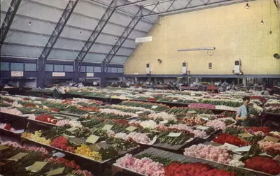 Centrale Aalsmeersche Veiling — Grande hall no setor das flores cortadas — C.A.V., Aalsmeer