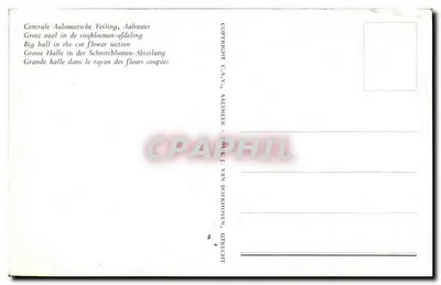 Centrale Aalsmeersche Veiling — Grande hall no setor das flores cortadas — C.A.V., Aalsmeer — Verso