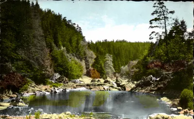 Le Chambon-sur-Lignon — Gouffre de Rocheduc — Estação de verão — editor: La Faisan (Loire) n°6078