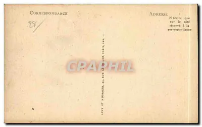 Katedra w Chartres — Nef i chórek — ND — Rewers