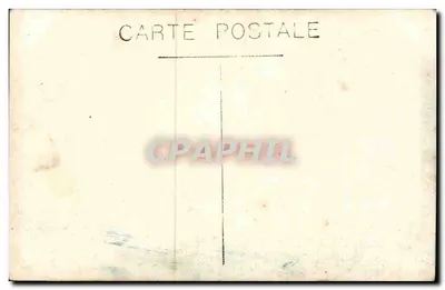 Stara kobieta z czarnym psem — Studio fotograficzne — Karta pocztowa Stara pocztówka — Rewers