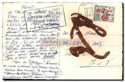 Familia en casa — escena cómica — editor no visible — Reverso
