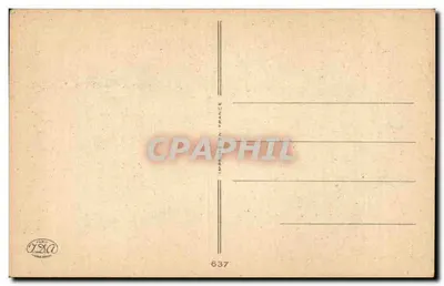 Bambino disperato davanti a un gatto — testo stampato — editore ISAO n°637 — Verso
