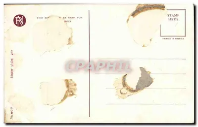 Trzy małe dziewczynki w strojach ślubnych — Trousseau — © T. Drayton — Reintal & Newman, N.Y. — Rewers