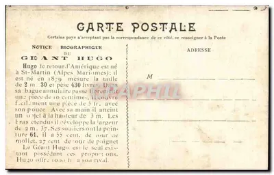 O Gigante Hugo — Nota biográfica — Verso