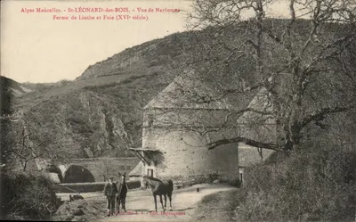 St-LÉONARD-des-BOIS - Vista de Narbonne - Fazenda de Linthe (século XVI) - Edição A.V. - Edit. Legaugneux