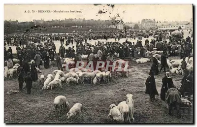 Rennes - Livestock Market — A.G. 79