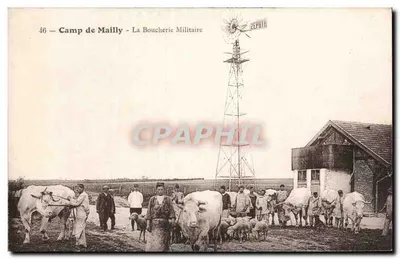 Camp de Mailly - A Carneira Militar — ZEPHIRH — n°46