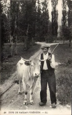 Tipo de camponês dos Pirineus — LL. — n°54
