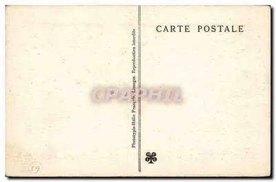 Pyrénées — Jaskinie BÉTHARRAM — Kolumna palmiastych — Rewers