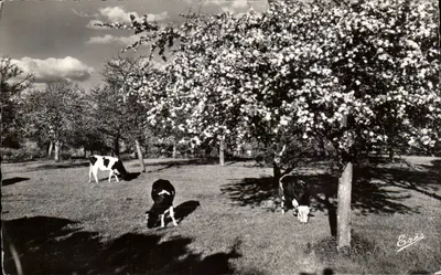 Primavera no país de Bray — Gournay-en-Bray — Érèz