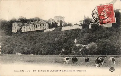 Environs de LILLEBONNE, Château de Tancarville — Seine-Inférieure — 39 — editor MT L