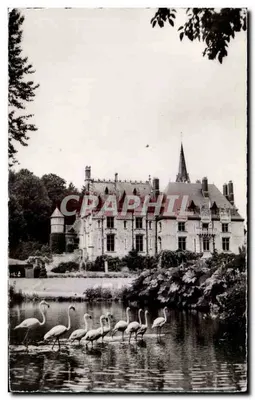 Castelo de Clères — Fachada e Flamingos Rosa — Edição Roussel, Rue Saint-Romain, Romain