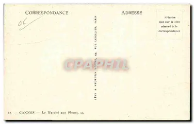 Cannes — Ryniec kwiatowy — Lévy & Neurdein, Paryż — Rewers