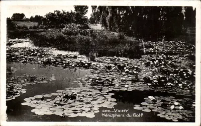 Nénuphars du Golf — Vichy — Edição La Cigogne