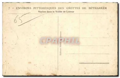Krowy w dolinie Lutour — Piekne otoczenie jaskiń Bétharram — Wydawnictwo Hôtel des Grottes — Rewers