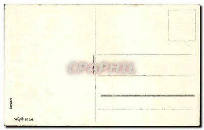 Arranjo de pêssegos — Feliz Aniversário — Import W. 5728 — Verso