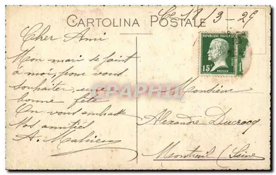 Arranjo de margaridas — editor Cartolina Postale, número de série não visível — Verso