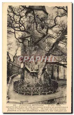 Al louville Bellefosse — O Grande Carvalho — Maison Delamare, edit., Yv. Ba.