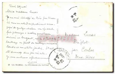 Chameau du Saf-Saf — Marsa — C.A.P. n°20 — Rewers