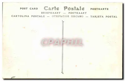 Tunis — Katedra i Aleja Julesa-Ferry — ND Phot. — Rewers