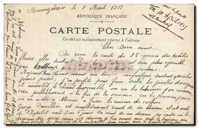 Pensée — fleur avec ruban tricolore — éditeur non visible — Rewers