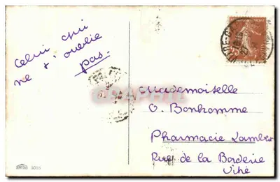 Arranjo de malmequeres — Aniversário — editor não visível — Verso