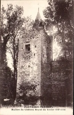 Fontenay-Trésigny — Ruínas do Castelo Real de Vivier (século XIII) — Borthe, editor