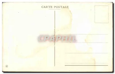 Flores de carthame — Aniversário — Impressa na Bélgica — Verso
