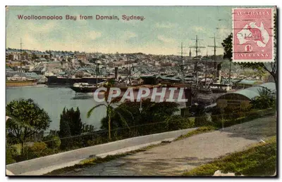 Stara pocztówka Australie Australia Wooloomooloo Bay from Domain Sydney