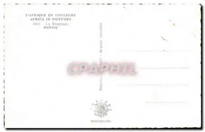 Kąpiel — Afryka — Wydawnictwo Mexichrome, nr 3441 — Rewers