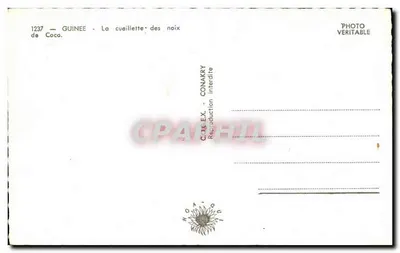 Gwinea — zbieranie kokosów — Conakry, nr 1237 — Rewers