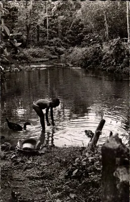 Mulher lavando na floresta do Banco — Abidjan, Costa do Marfim — Éditions de Luxembert, n°4725