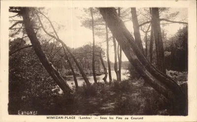 Mimizan-Place (Landes) — Sob os Pinheiros no Corrente — E. Vignes