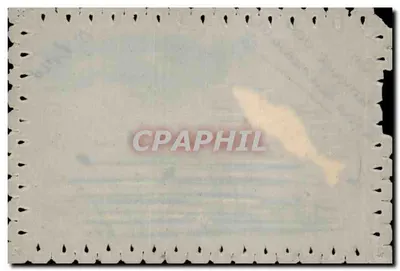 Poisson sautant — scène de rivière avec herbes et fleurs — éditeur non visible — Verso